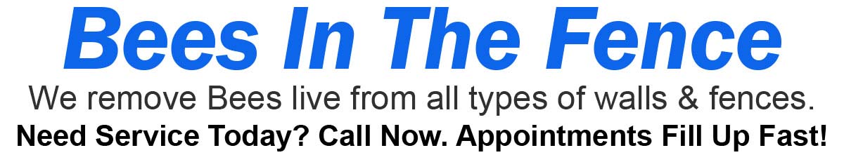 Teddys Bee Removal company logo with text that says, We remove bees from fences and walls. Call now. Appointments fill up fast